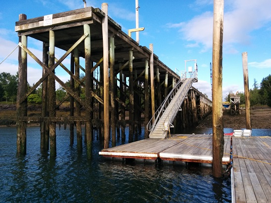 Eastport dock near Low Tide
