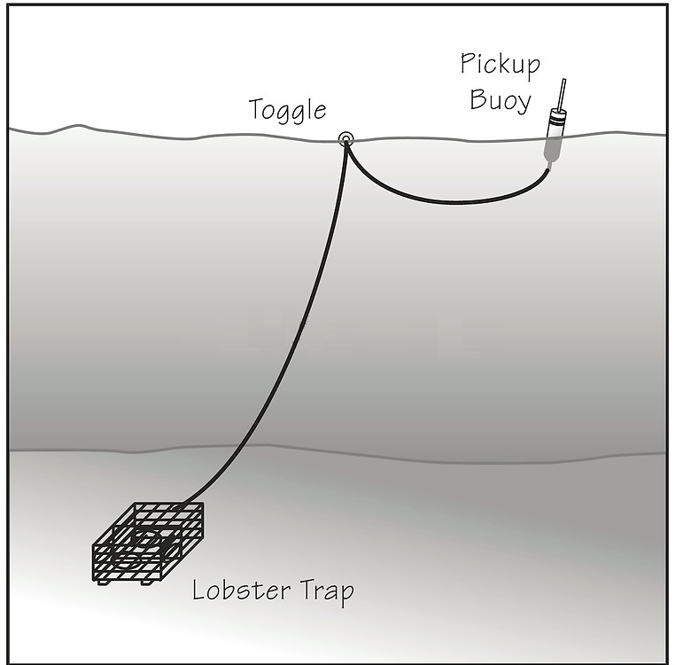 Lobster buoy toggles