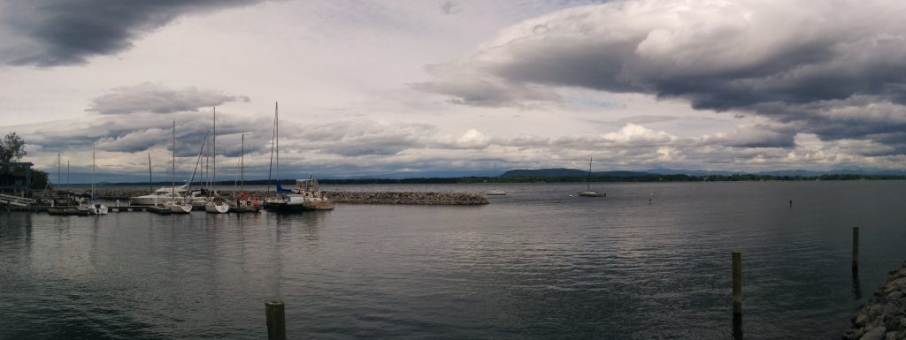 Cygnus at Port Henry Marina