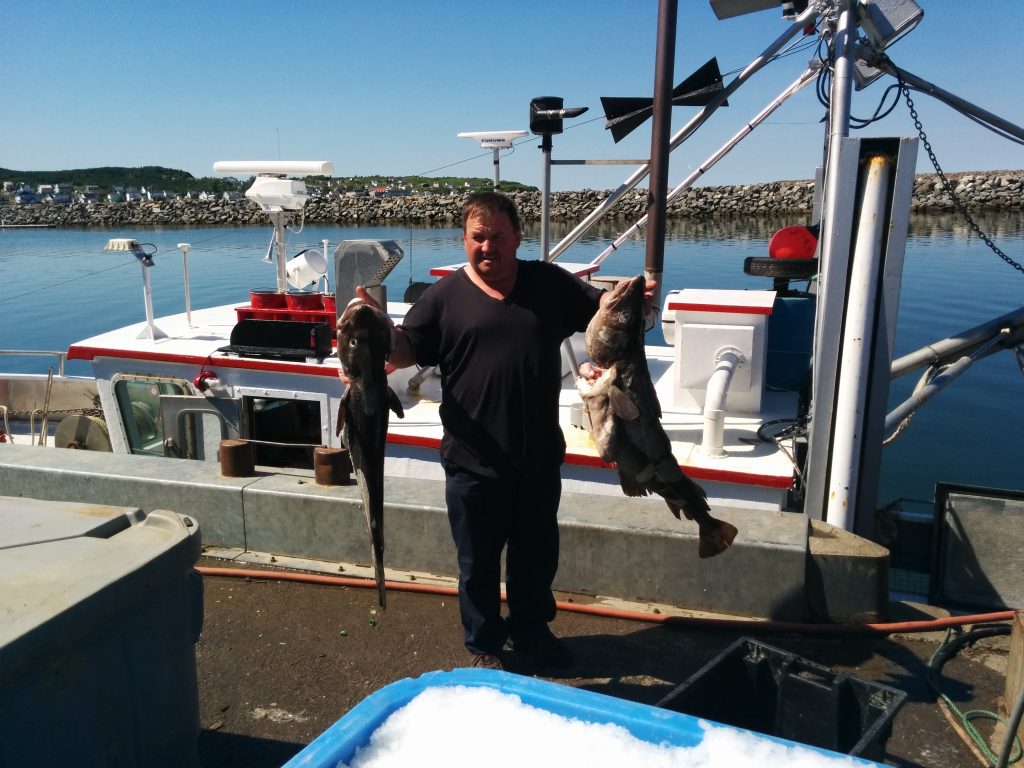 Cod at Riviere-au-Renard