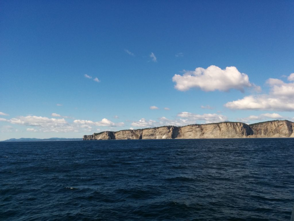 Cap Gaspe Cliffs