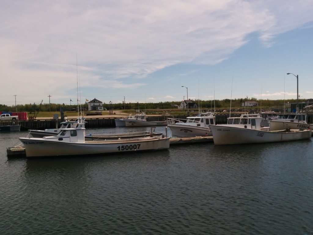 Lobster Boats