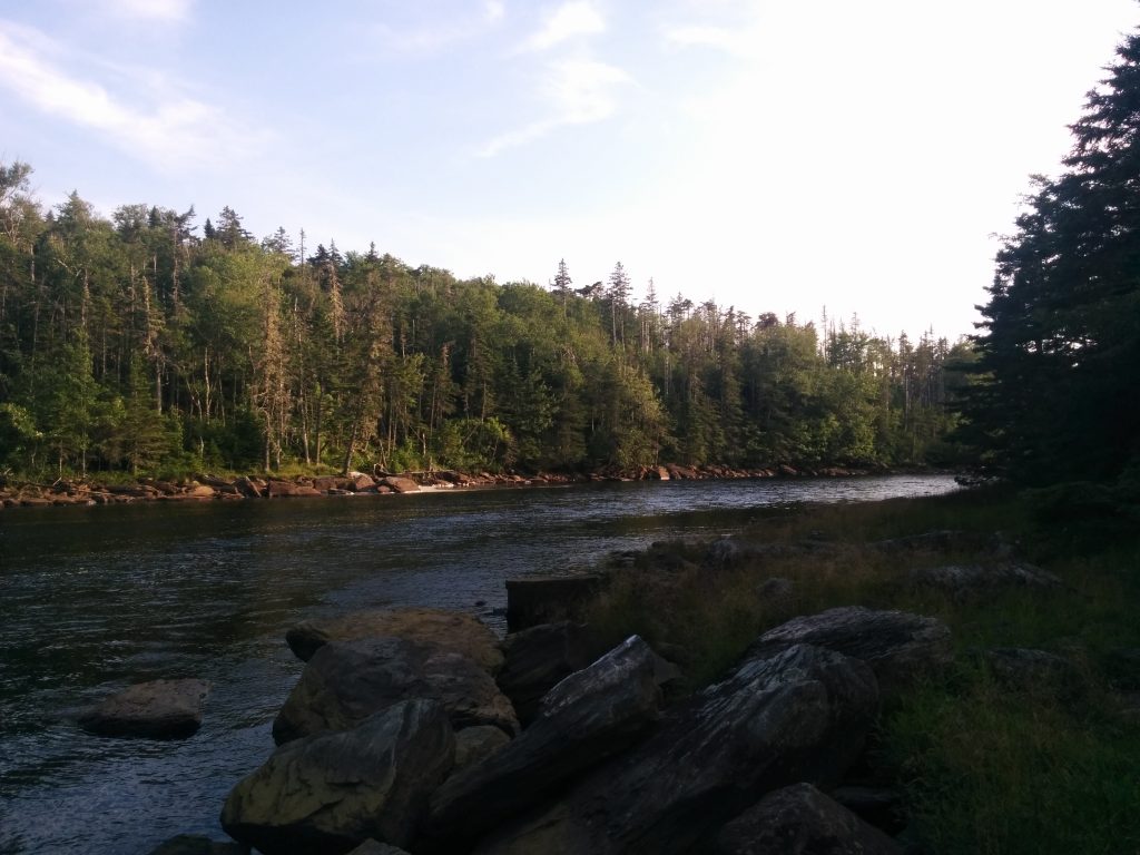 River at Liscombe Lodge