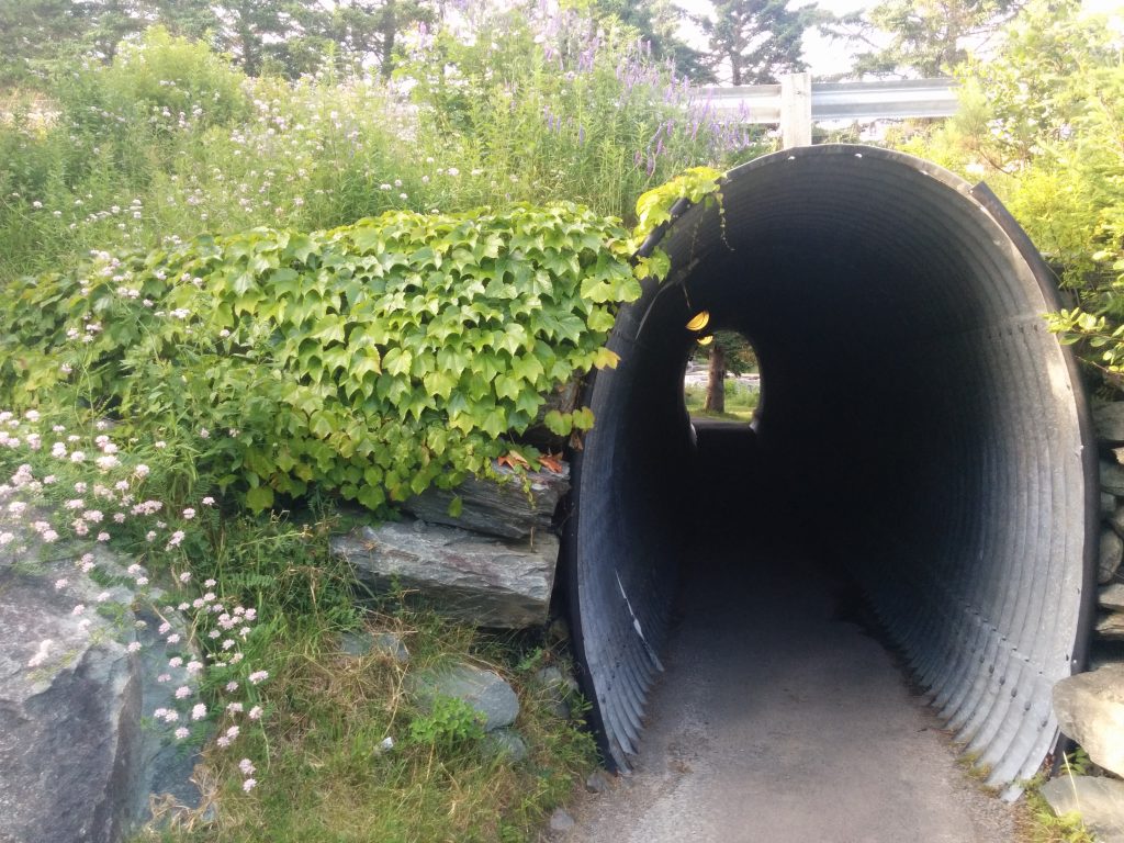 Tunnel Under Highway 7