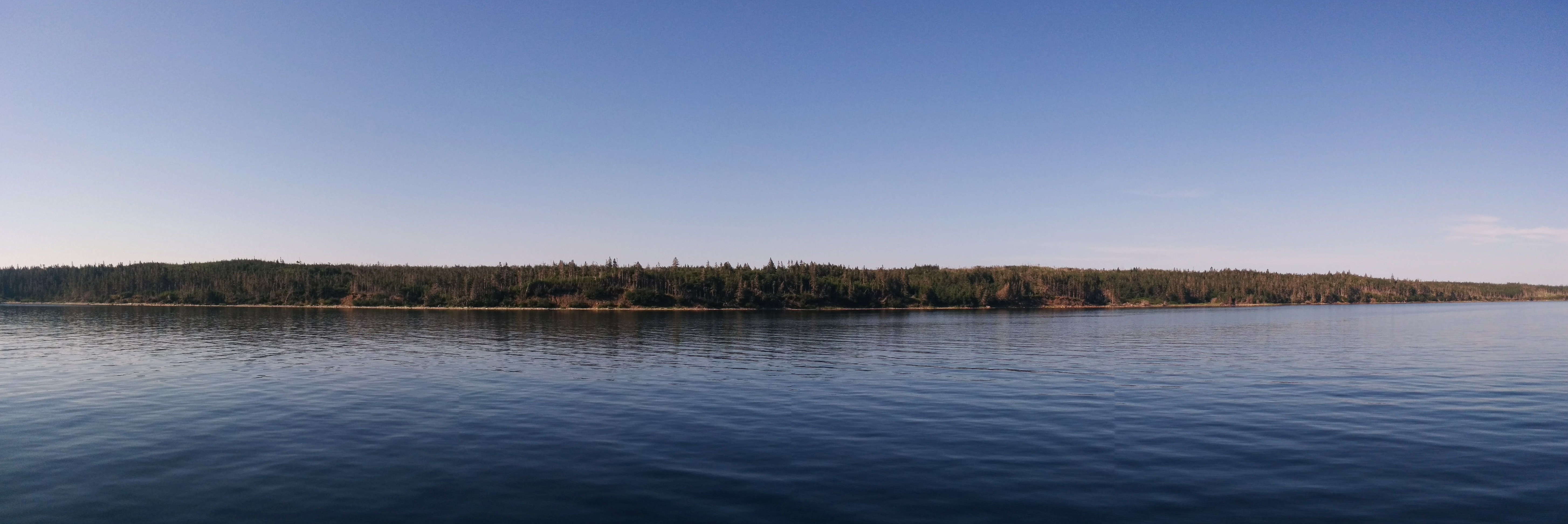 Liscomb Harbor