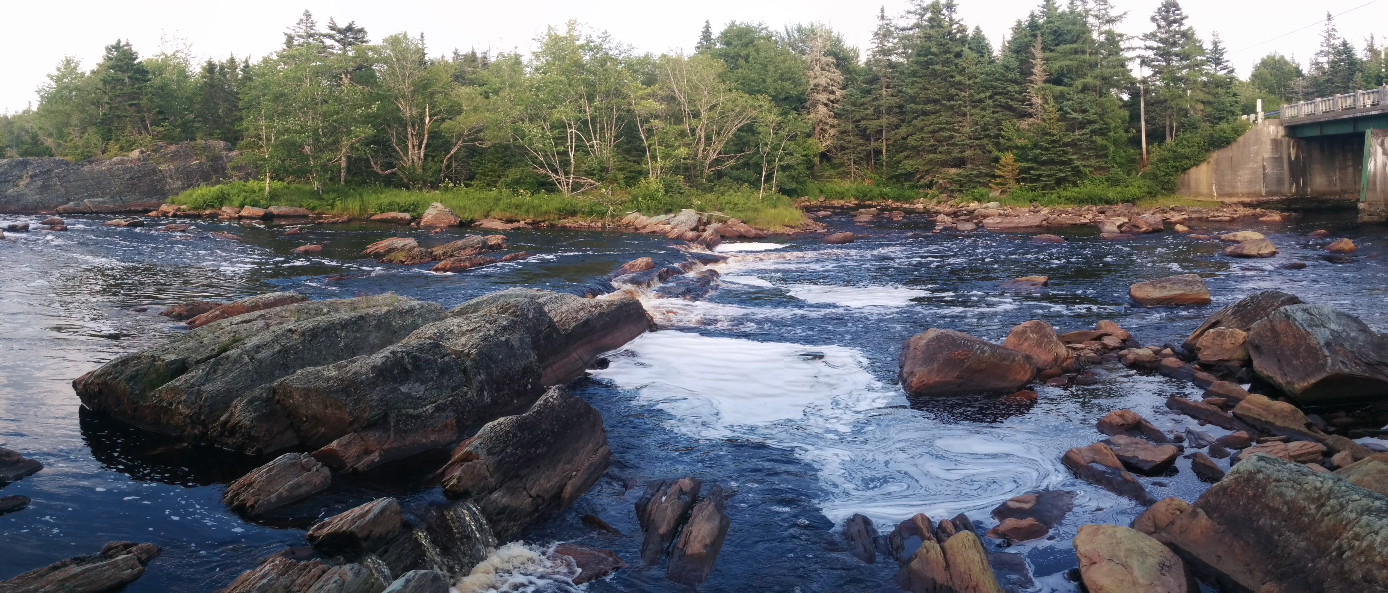 Rapids above Liscombe Lodge