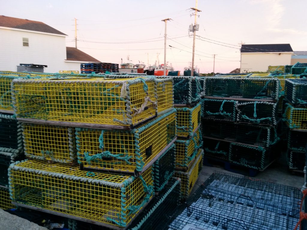 Lobster Traps in Clark's Harbor