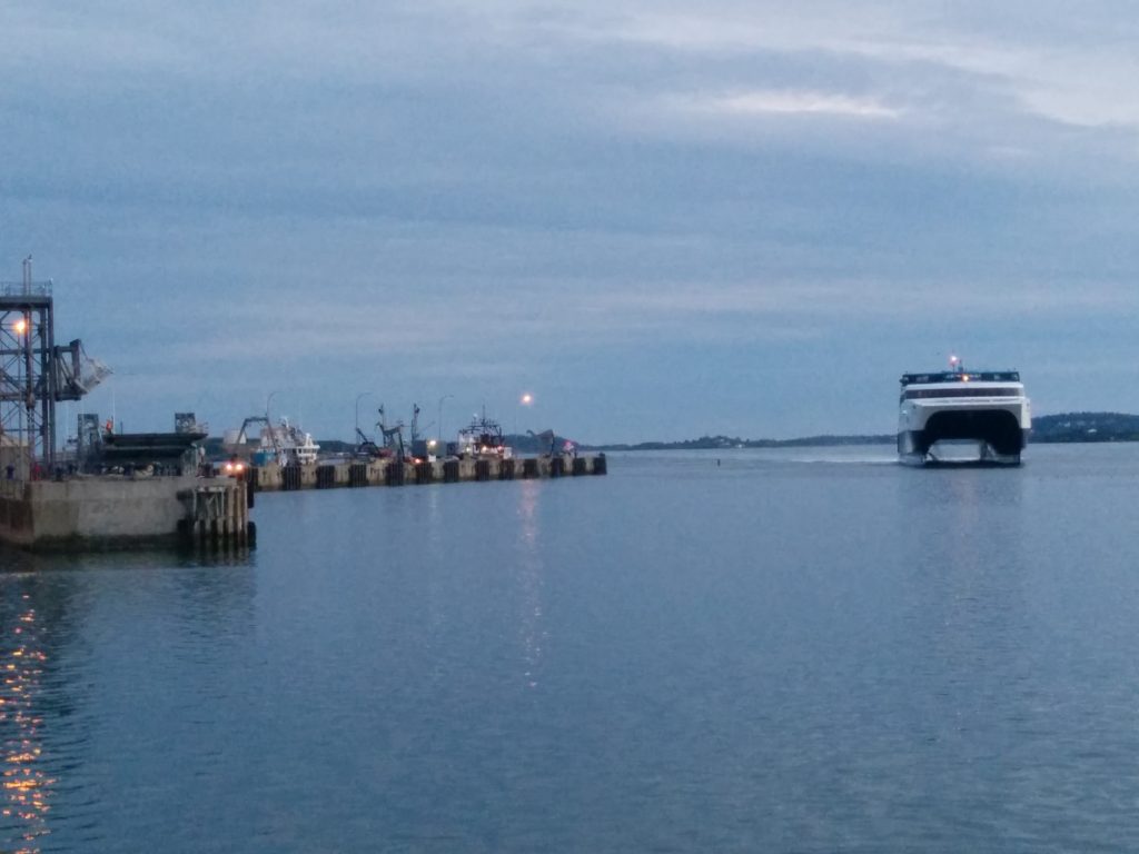 Cat Arriving in Yarmouth