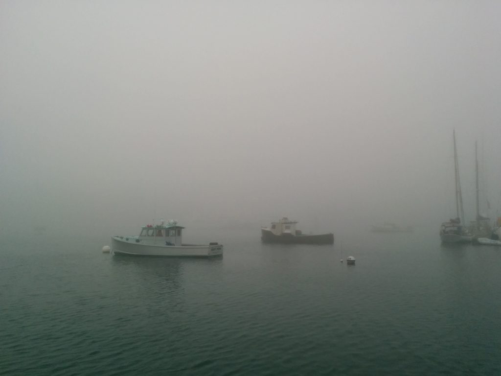 Fog in Northeast Harbor