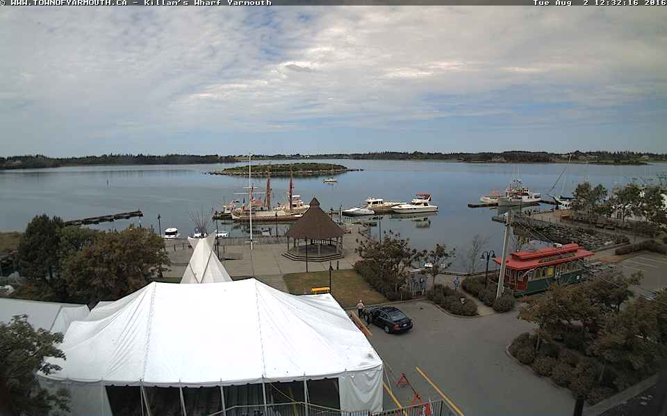 Cygnus at Killam's Wharf