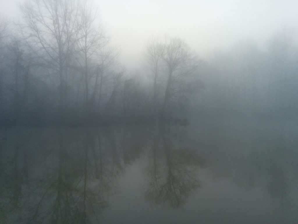 Waverly Fog