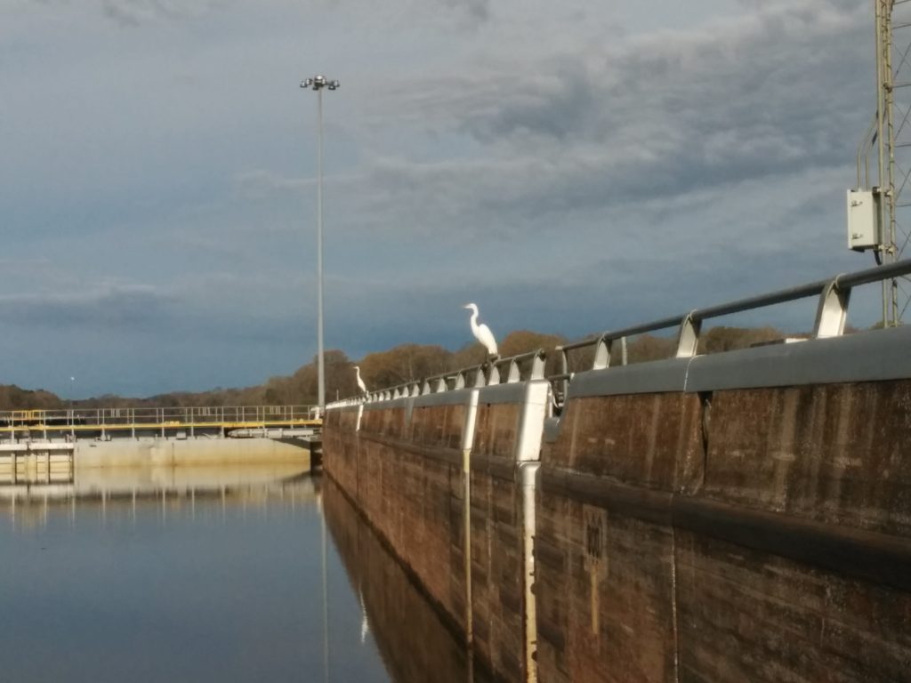 Demopolis Lock