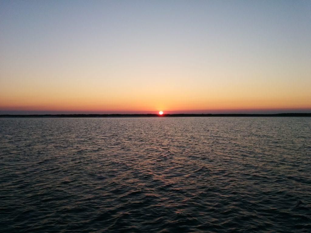 Dog Island Sunrise