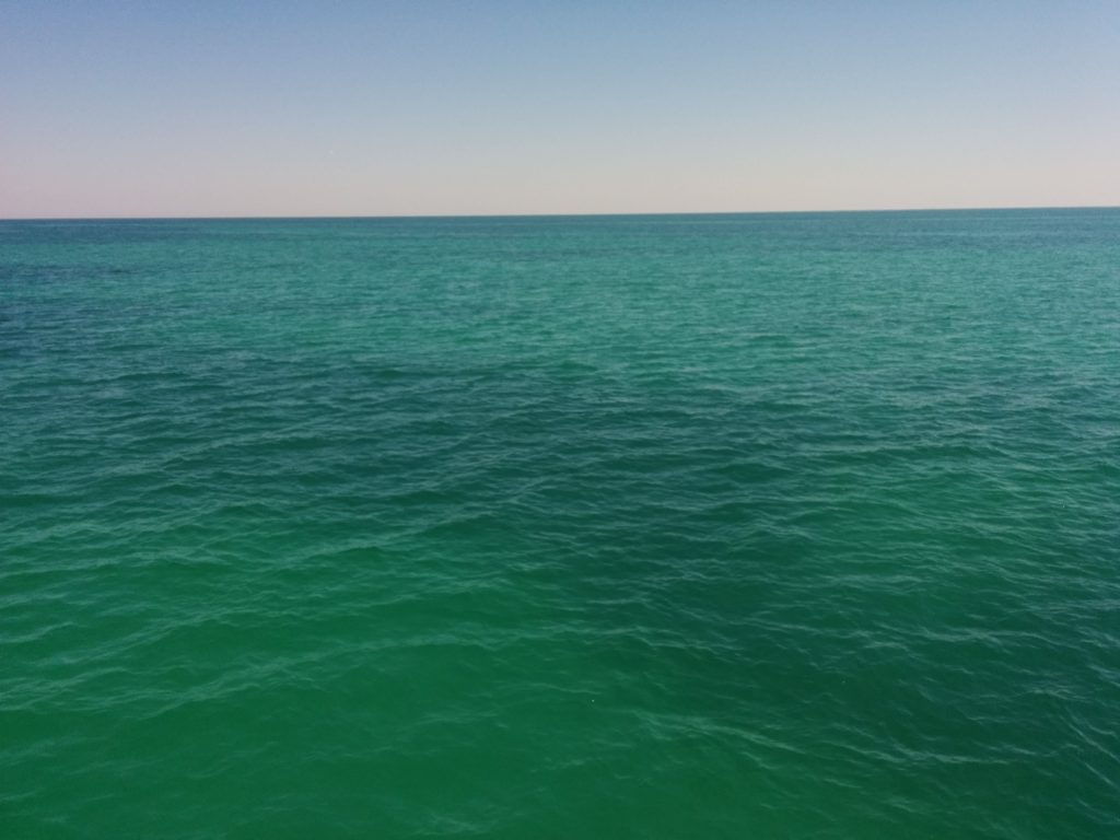 Gulf of Mexico