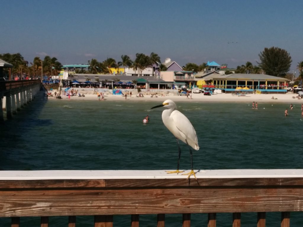 Ft Myers Beach